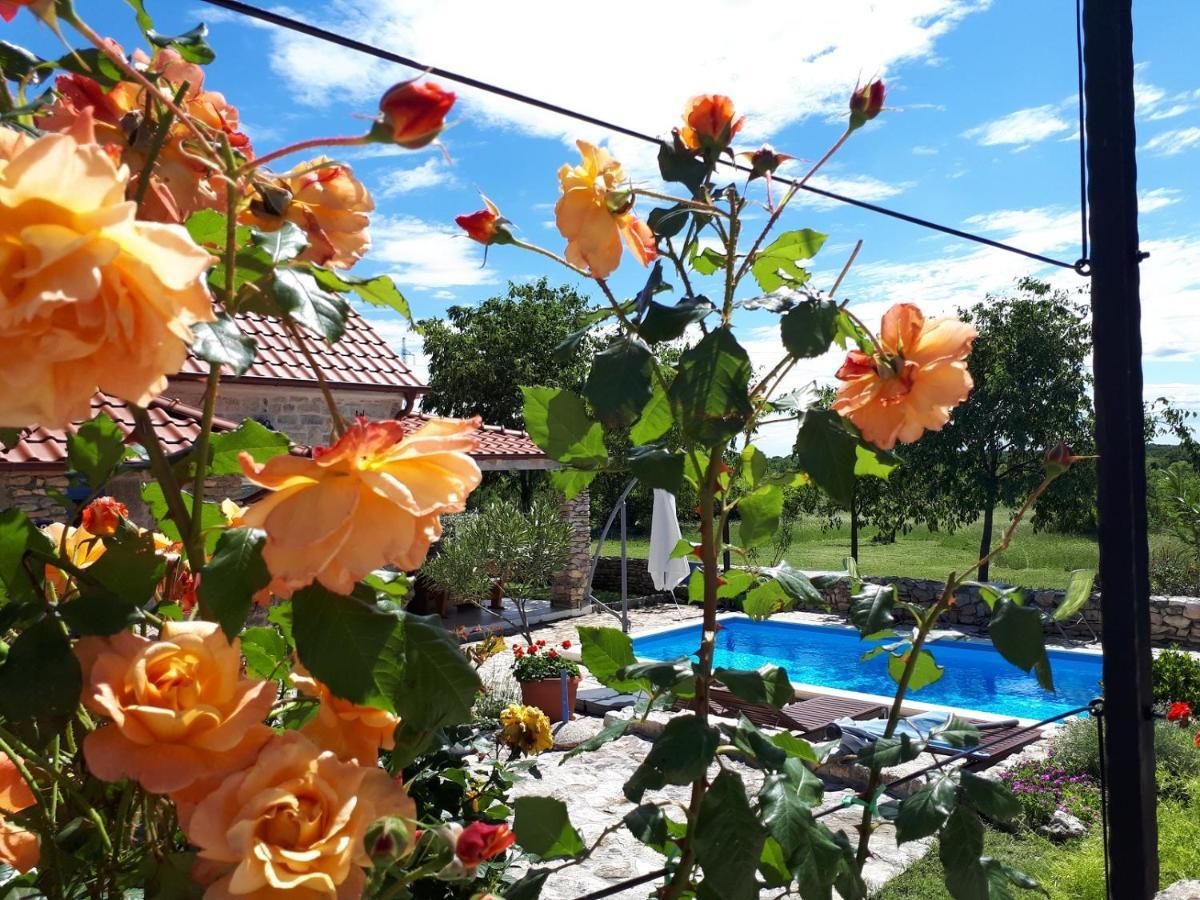 Holiday Home Toma Puljane Kültér fotó